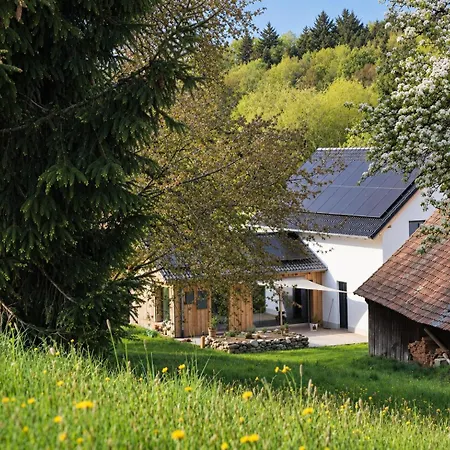 Ochsenbach Hideaway